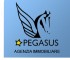 Pegasus Di Belpassi Cesare Pegasus Di Belpassi Cesare