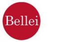 Bellei Servizi Immobiliari Srl Bellei Servizi Immobiliari Srl