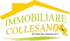 Immobiliare Collesano S.a.s. Di Carla Saccomanno & Immobiliare Collesano S.a.s. Di Carla Saccomanno &